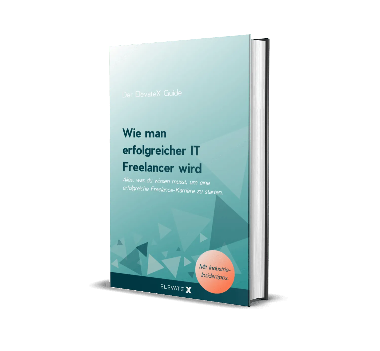 Wie man erfolgreich IT Freelancer wird eBook-Cover