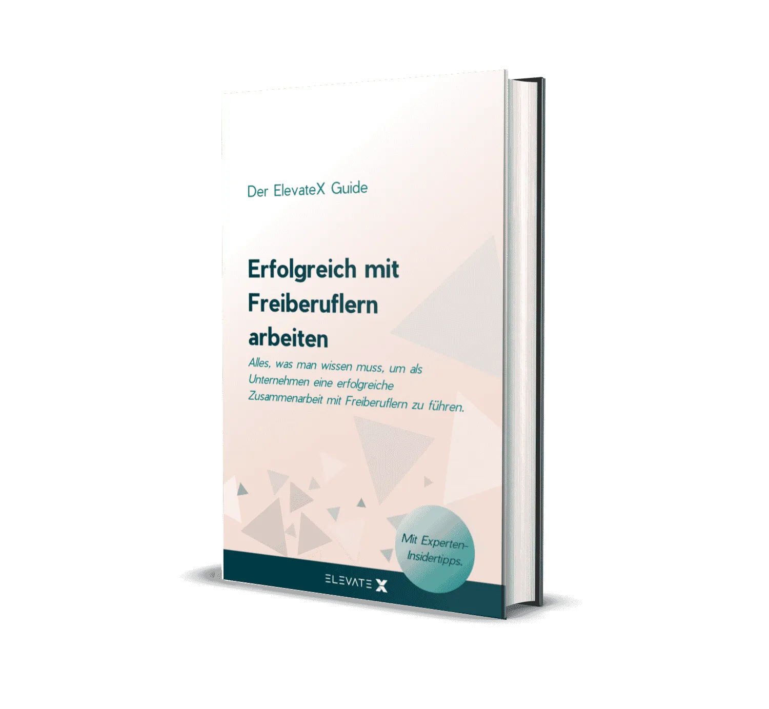 Erfolgreich mit Freiberuflern arbeiten eBook-Cover