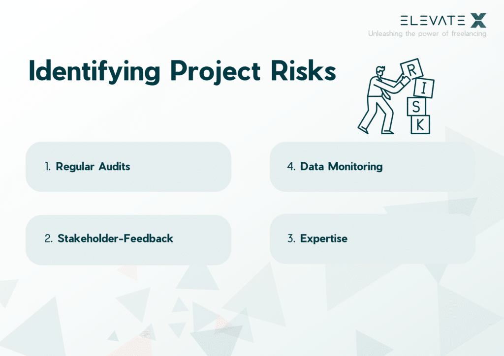 Project Risks